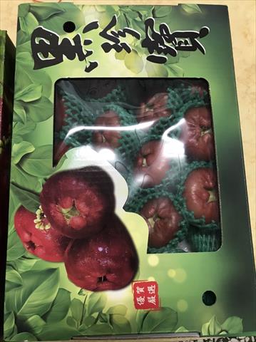 蓮霧 - 南洋種蓮霧 產品圖片（圖片編號 928004）