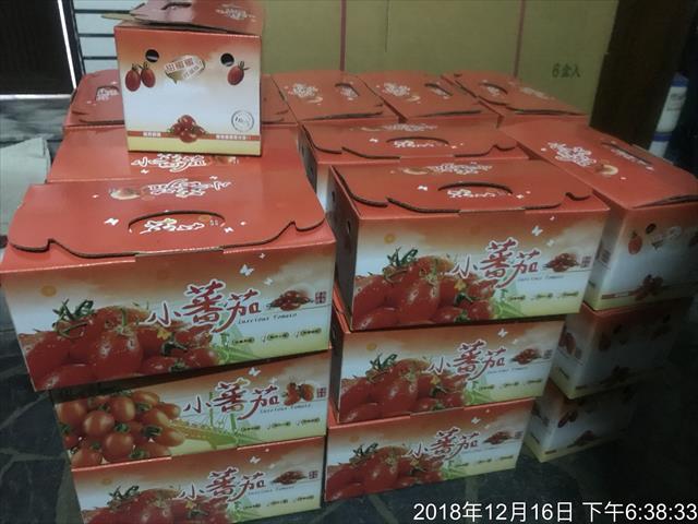 番茄(含小番茄) - 玉女小蕃茄 產品圖片（圖片編號 933141）