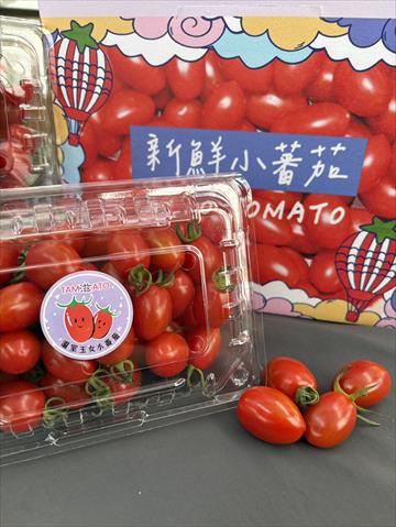 番茄(含小番茄) 產品圖片（圖片編號 939065）