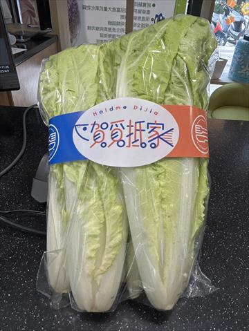 不結球白菜(小白菜,青梗白菜,蚵白菜) - 蚵白菜 產品圖片（圖片編號 939347）