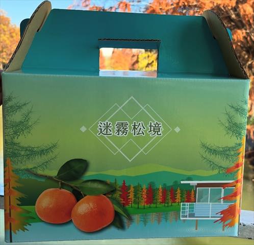 柳橙 - 水果彩盒-1 產品圖片（圖片編號 942195）