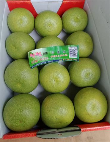 文旦柚 - 頂級文旦10斤禮盒 產品圖片（圖片編號 972690）