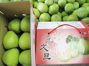 文旦柚 - 特選文旦10斤禮盒 產品圖片（圖片編號 972692）