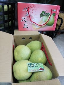 文旦柚 - 優質文旦10斤禮盒 產品圖片（圖片編號 972693）