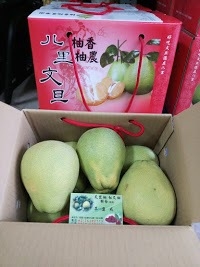 文旦柚 - 優質文旦5斤禮盒 產品圖片（圖片編號 972694）
