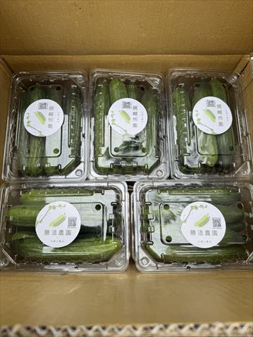 小黃瓜(花胡瓜) 產品圖片（圖片編號 991762）
