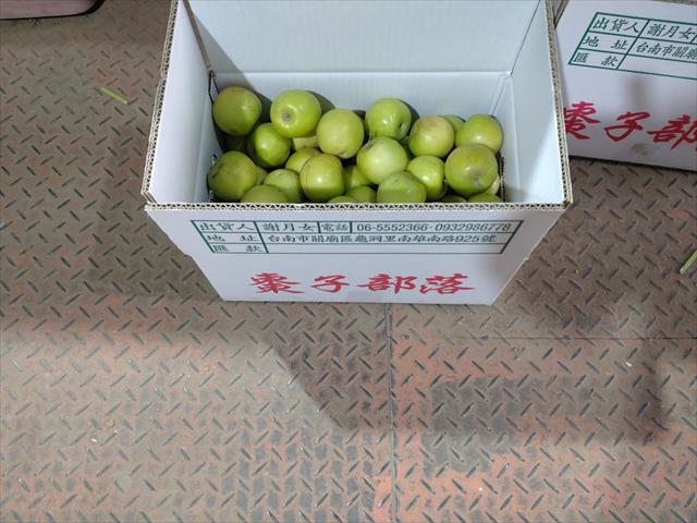 棗 - 批發市場包裝 產品圖片（圖片編號 993316）