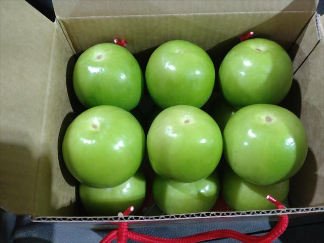 棗 - 3斤小禮盒 產品圖片（圖片編號 993318）