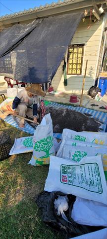 番石榴(芭樂) 產品圖片（圖片編號 996652）
