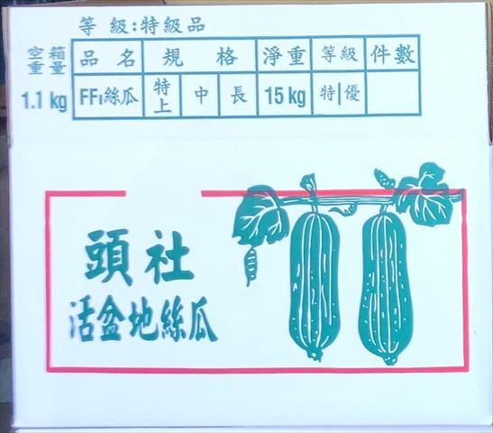 絲瓜 - 頭社活盆地絲瓜 產品圖片（圖片編號 997718）