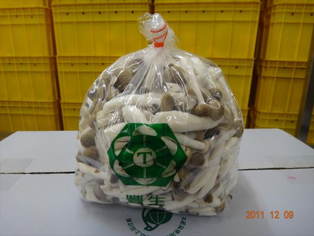 鴻喜菇 - 黑真珠菇(1Kg) 產品圖片（圖片編號 999499）