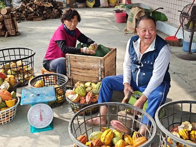 生產者圖片