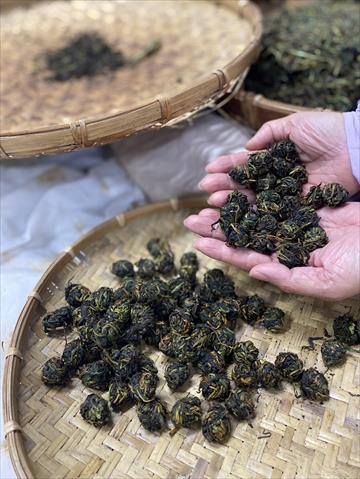 生產者圖片