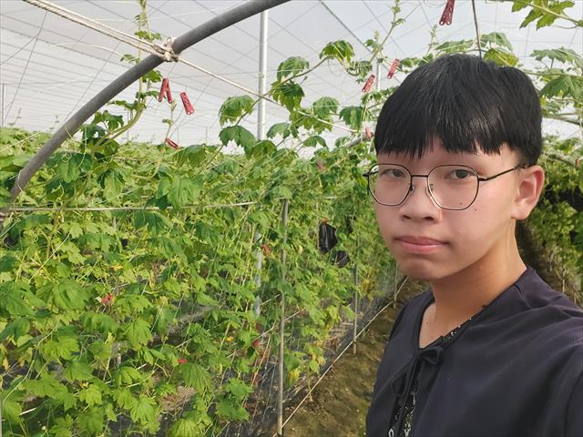 生產者圖片
