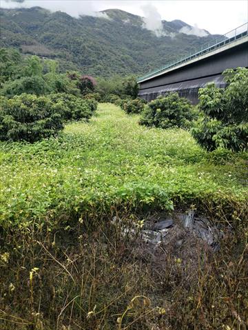生產者圖片