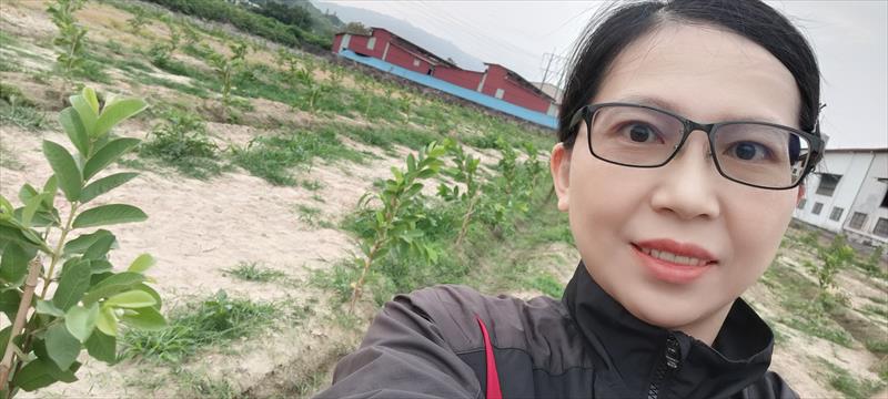 生產者圖片