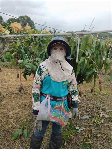 生產者圖片