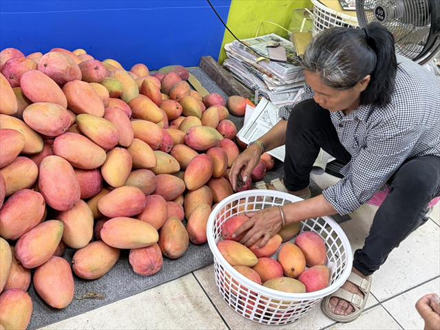 生產者圖片
