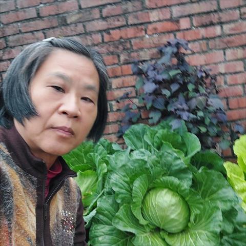 生產者圖片