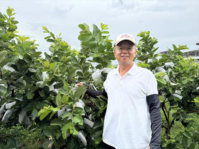 生產者圖片