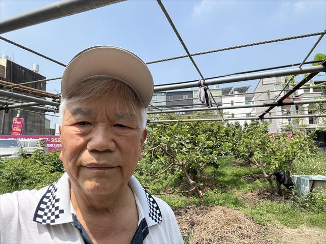 生產者圖片