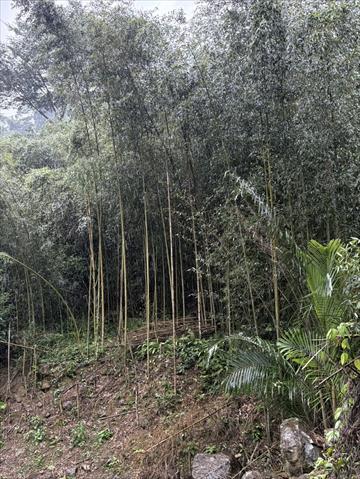 生產者圖片