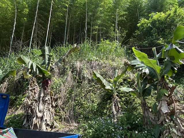 生產者圖片