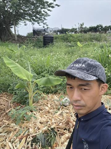 生產者圖片