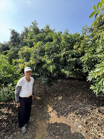 生產者圖片