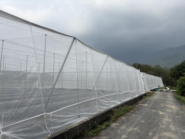 生產者圖片
