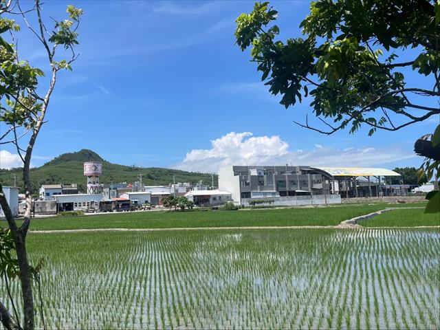 生產者圖片
