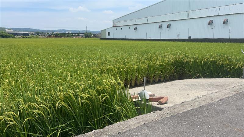 生產者圖片