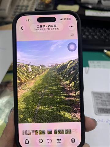 生產者圖片