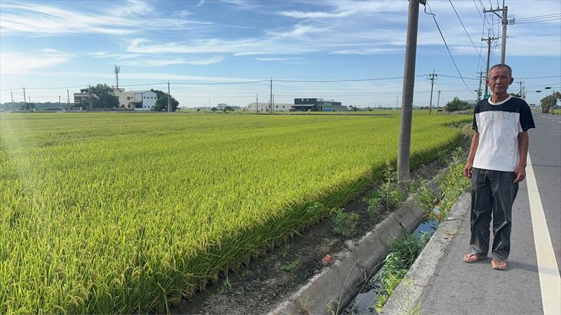 生產者圖片
