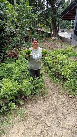 生產者圖片