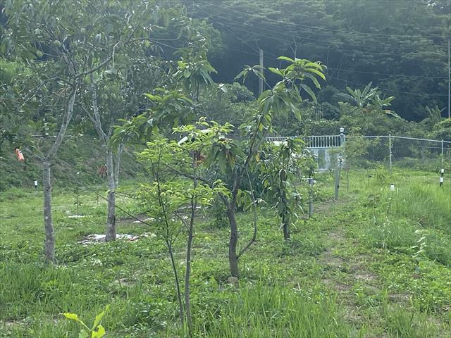 生產者圖片