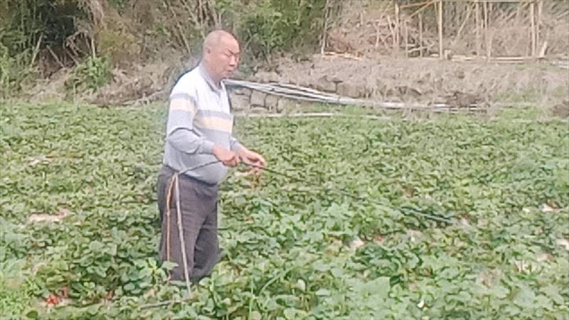 生產者圖片