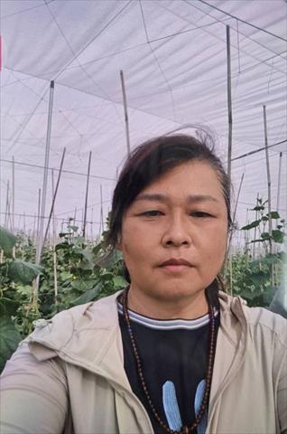 生產者圖片