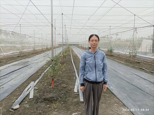 生產者圖片
