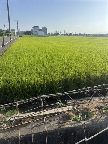 生產者圖片