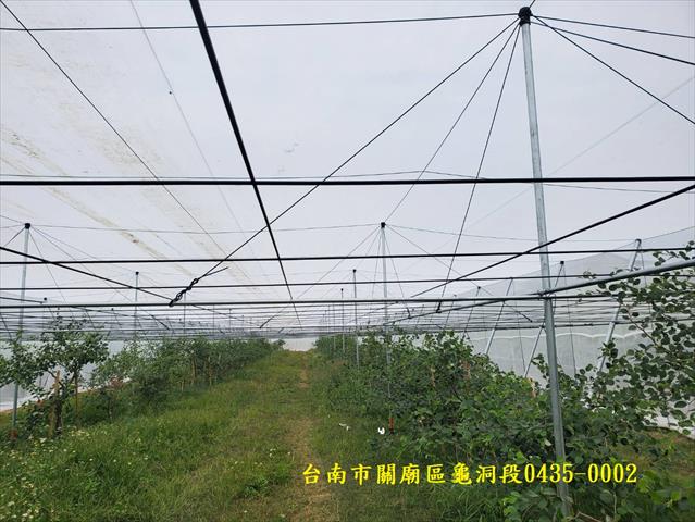 生產者圖片