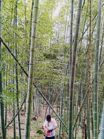 生產者圖片