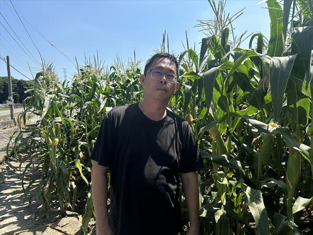 生產者圖片