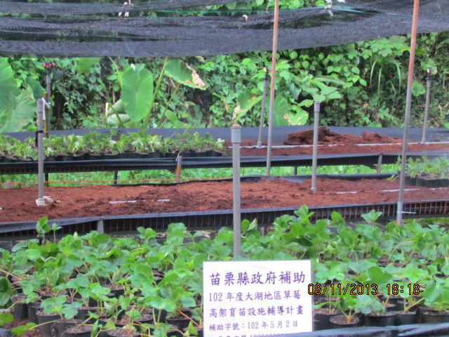 生產者圖片
