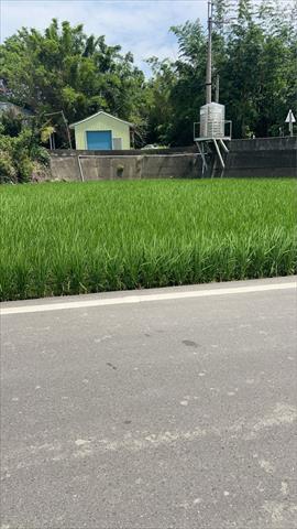 生產者圖片