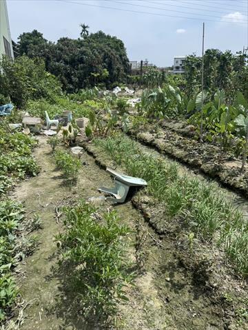 生產者圖片