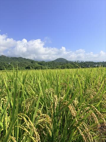 生產者圖片