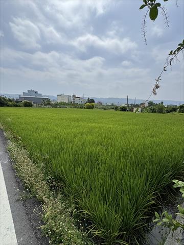 生產者圖片
