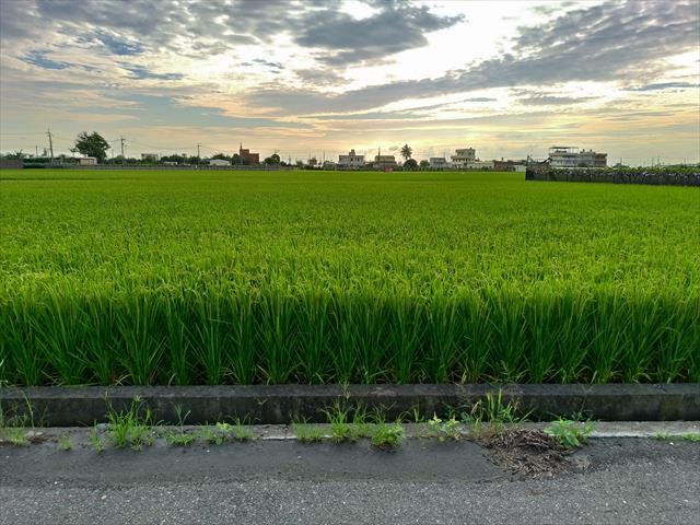 生產者圖片