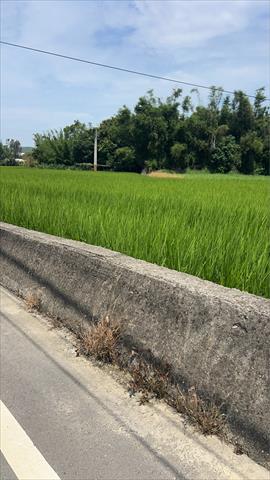 生產者圖片
